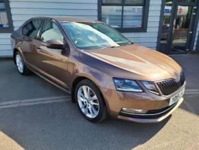 SKODA OCTAVIA 2019 (19) at G T Garages Ltd  Scarborough